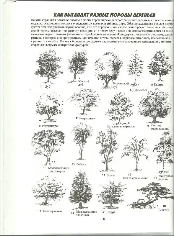 Иллюстрация 16 из 23 для Как рисовать пейзаж - Джек Хамм | Лабиринт - книги. Источник: Руденко  Евгения