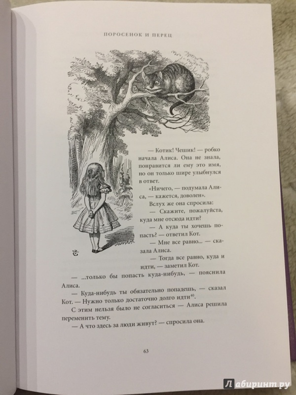 Иллюстрация 9 из 30 для Алиса в Стране чудес. Алиса в Зазеркалье - Льюис Кэрролл | Лабиринт - книги. Источник: pavko