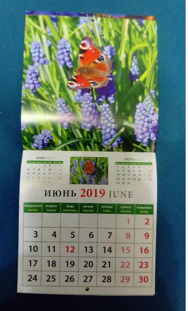 Иллюстрация 5 из 5 для Календарь природы 2019 (30910) | Лабиринт - сувениры. Источник: Эльвира Якупова