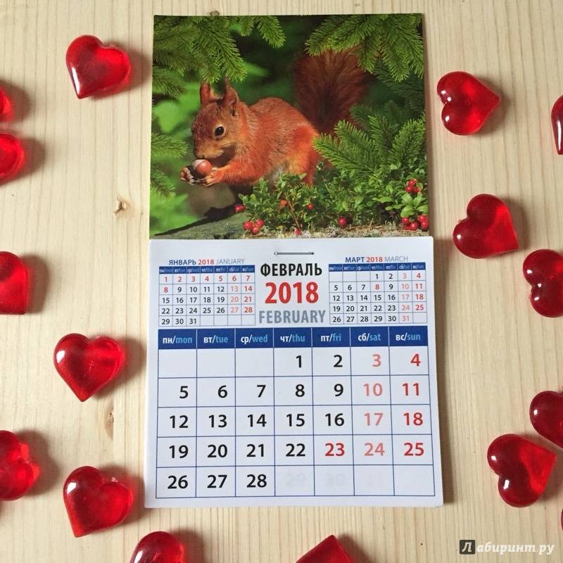 Иллюстрация 2 из 3 для 2018 Календарь "Белка с орехом" (20817) | Лабиринт - сувениры. Источник: Ольга