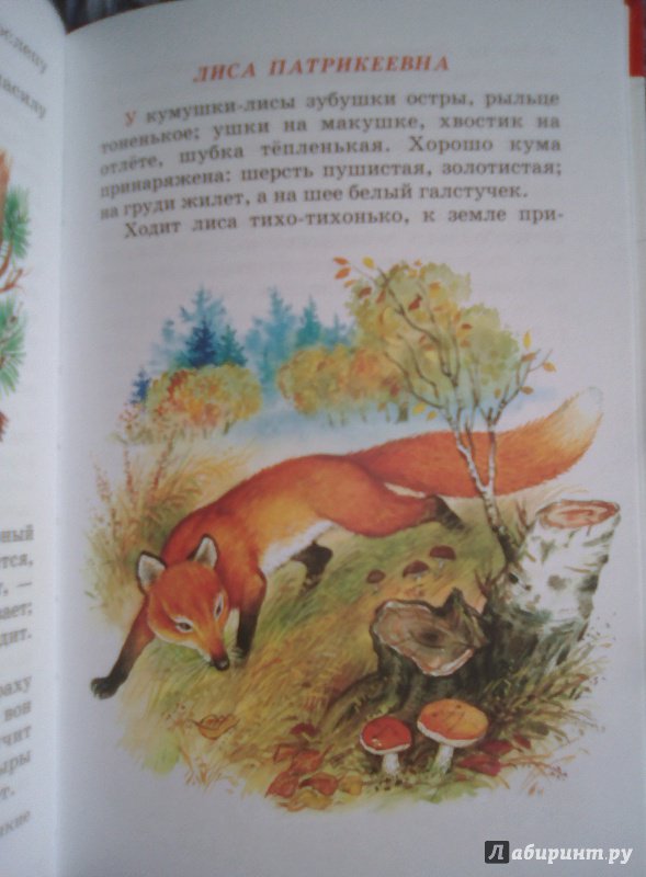 Иллюстрация 34 из 36 для Рассказы - Константин Ушинский | Лабиринт - книги. Источник: Selenita