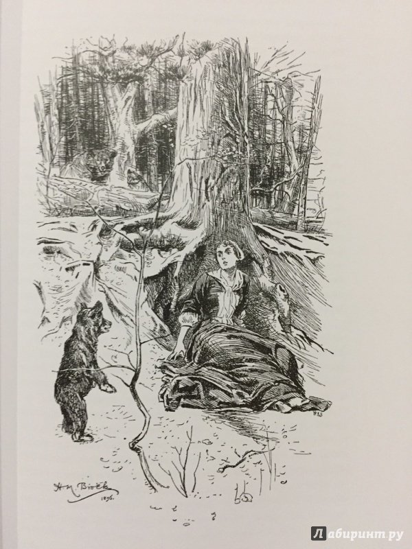 Иллюстрация 4 из 15 для Зверобой, или первая тропа войны - Джеймс Купер | Лабиринт - книги. Источник: pavko