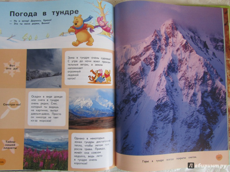 Иллюстрация 25 из 60 для Земля (Winnie the Pooh) | Лабиринт - книги. Источник: Булавинцева Маргарита