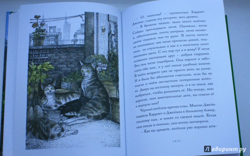 Иллюстрация 25 из 38 для Крылатые кошки возвращаются - Гуин Ле | Лабиринт - книги. Источник: КНИЖНОЕ ДЕТСТВО