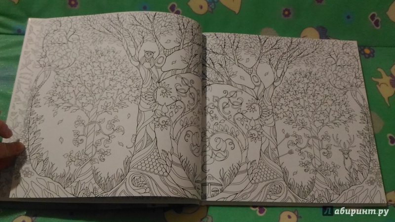 Иллюстрация 172 из 199 для Зачарованный лес. Книга для творчества и вдохновения - Джоанна Бэсфорд | Лабиринт - книги. Источник: Dary