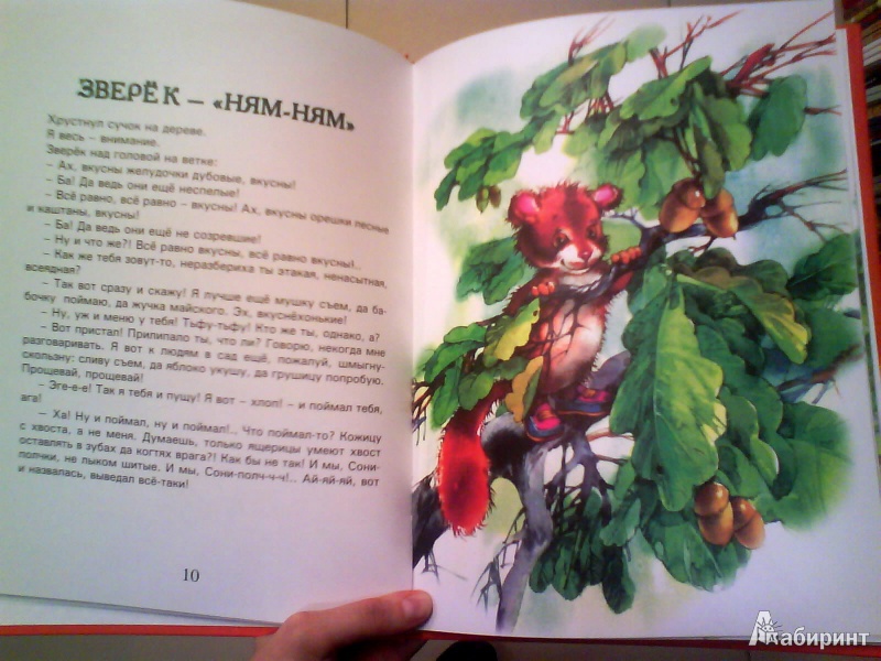 Иллюстрация 5 из 6 для Сказки доброго сверчка - Валерий Кастрючин | Лабиринт - книги. Источник: Мила
