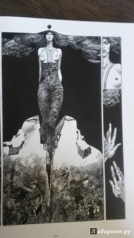 Иллюстрация 36 из 67 для Шараз-де - Серджо Топпи | Лабиринт - книги. Источник: mara79-08