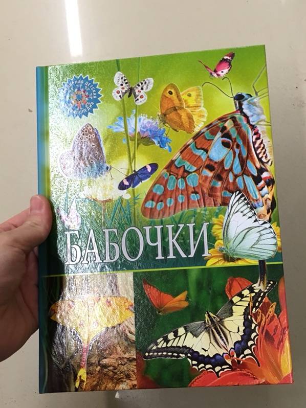 Иллюстрация 4 из 38 для Бабочки | Лабиринт - книги. Источник: Nika