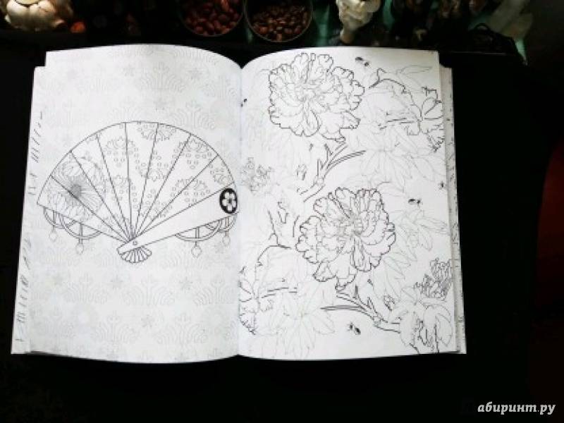 Иллюстрация 8 из 27 для Загадочная Япония. Раскраска-антистресс для творчества и вдохновения | Лабиринт - книги. Источник: Elizabeth Batori