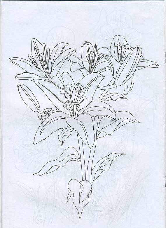 Иллюстрация 10 из 14 для Раскраска: Цветы (Р040104) | Лабиринт - книги. Источник: Machaon