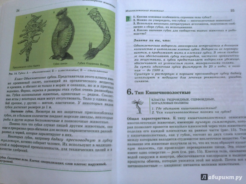 Иллюстрация 34 из 49 для Биология. Животные. 7 класс. Учебник - Латюшин, Шапкин | Лабиринт - книги. Источник: Юлиана  Юлиана