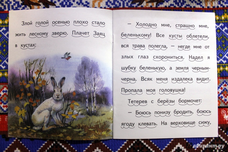 Иллюстрация 3 из 11 для Заяц, Косач, Медведь и Дед Мороз - Виталий Бианки | Лабиринт - книги. Источник: . NastasiaBu