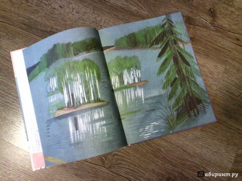 Иллюстрация 19 из 33 для Воробьиное озеро - Юрий Коваль | Лабиринт - книги. Источник: mizbruk