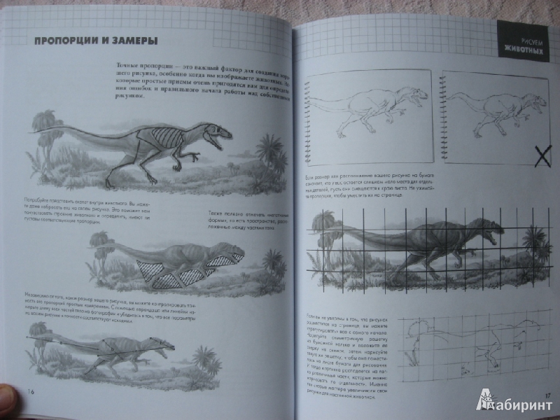 Иллюстрация 11 из 30 для Рисуем животных - Питер Грей | Лабиринт - книги. Источник: Юта