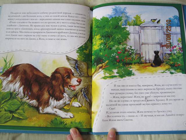 Иллюстрация 40 из 44 для Рассказы о животных для маленьких - Михаил Пришвин | Лабиринт - книги. Источник: васина лариса игоревна