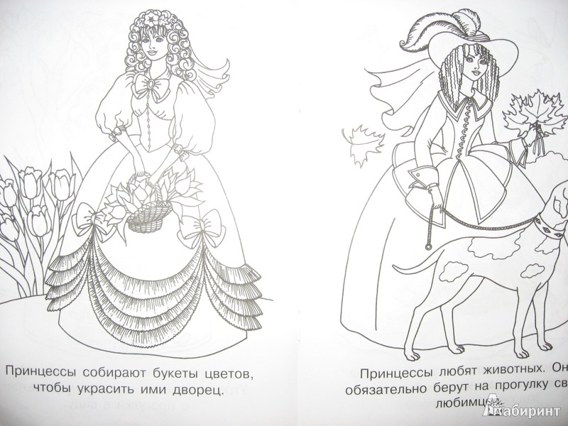 Иллюстрация 10 из 21 для Мечты принцесс. Сиреневая книжка. Раскраска | Лабиринт - книги. Источник: B
