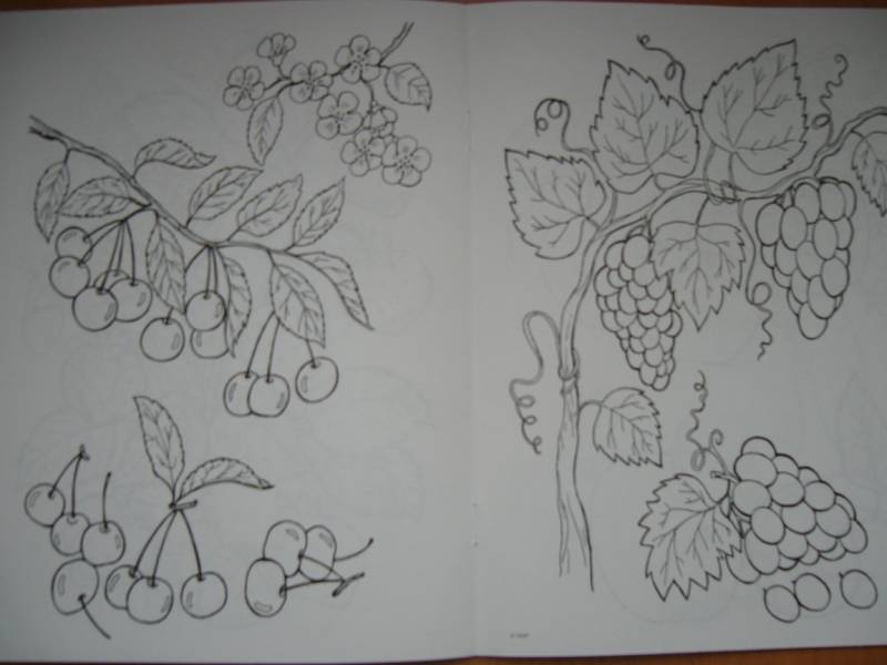 Иллюстрация 5 из 16 для Что растет в саду | Лабиринт - книги. Источник: Мама Саши