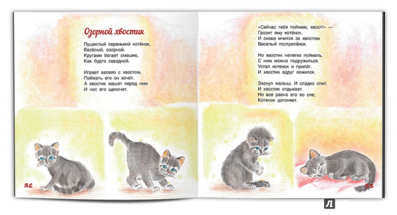 Иллюстрация 6 из 15 для С точки зрения кота - Белкина, Зайцева | Лабиринт - книги. Источник: Б.  Светлана