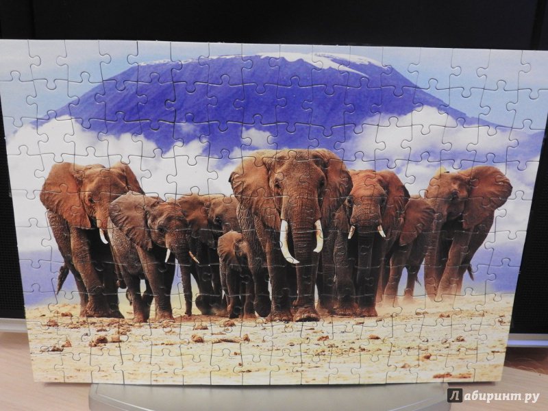 Иллюстрация 2 из 2 для Puzzle-160 "Африканские слоны" (КБ160-4033) | Лабиринт - игрушки. Источник: Викулин  Денис