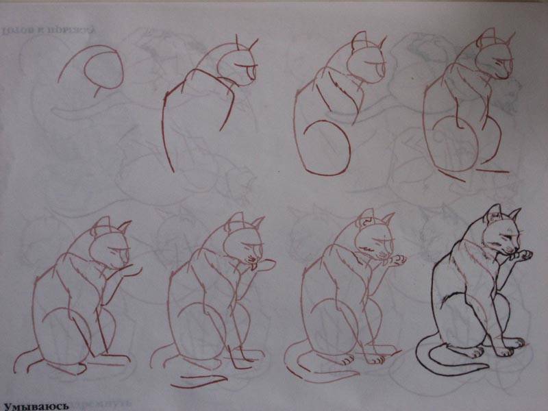 Иллюстрация 7 из 23 для Рисуем 50 кошек - Ли Эймис | Лабиринт - книги. Источник: Dana-ja