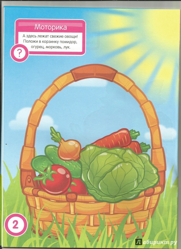 Иллюстрация 4 из 23 для Овощи и фрукты. Развивающая книга с наклейками для детей от 2 лет - С. Разин | Лабиринт - книги. Источник: Мармелюшка