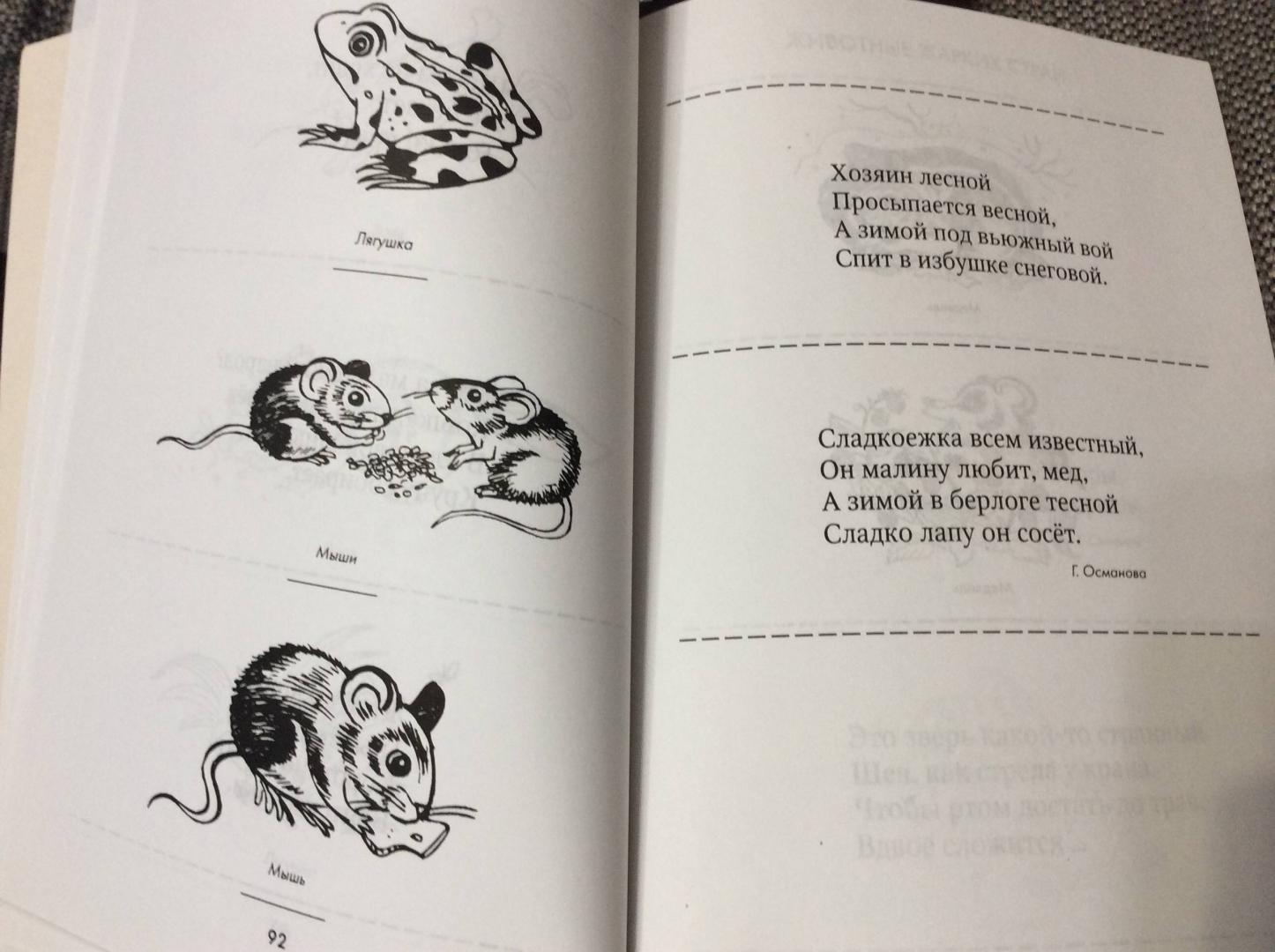 Иллюстрация 11 из 12 для Загадки и отгадки в картинках на все лексические темы - Гурия Османова | Лабиринт - книги. Источник: Renelena