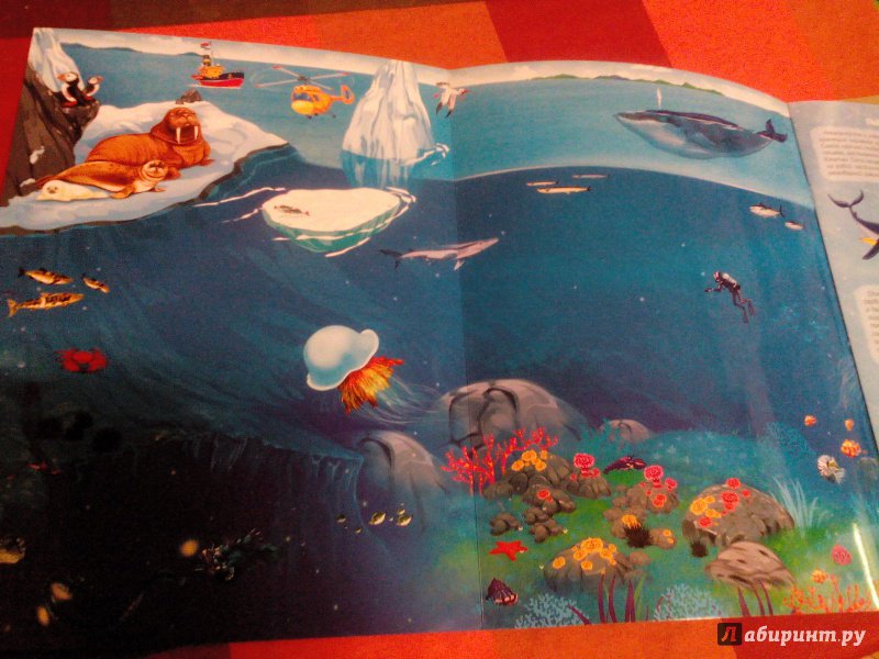 Иллюстрация 4 из 6 для В океане. Книжка-панорама с наклейками | Лабиринт - книги. Источник: Леночка