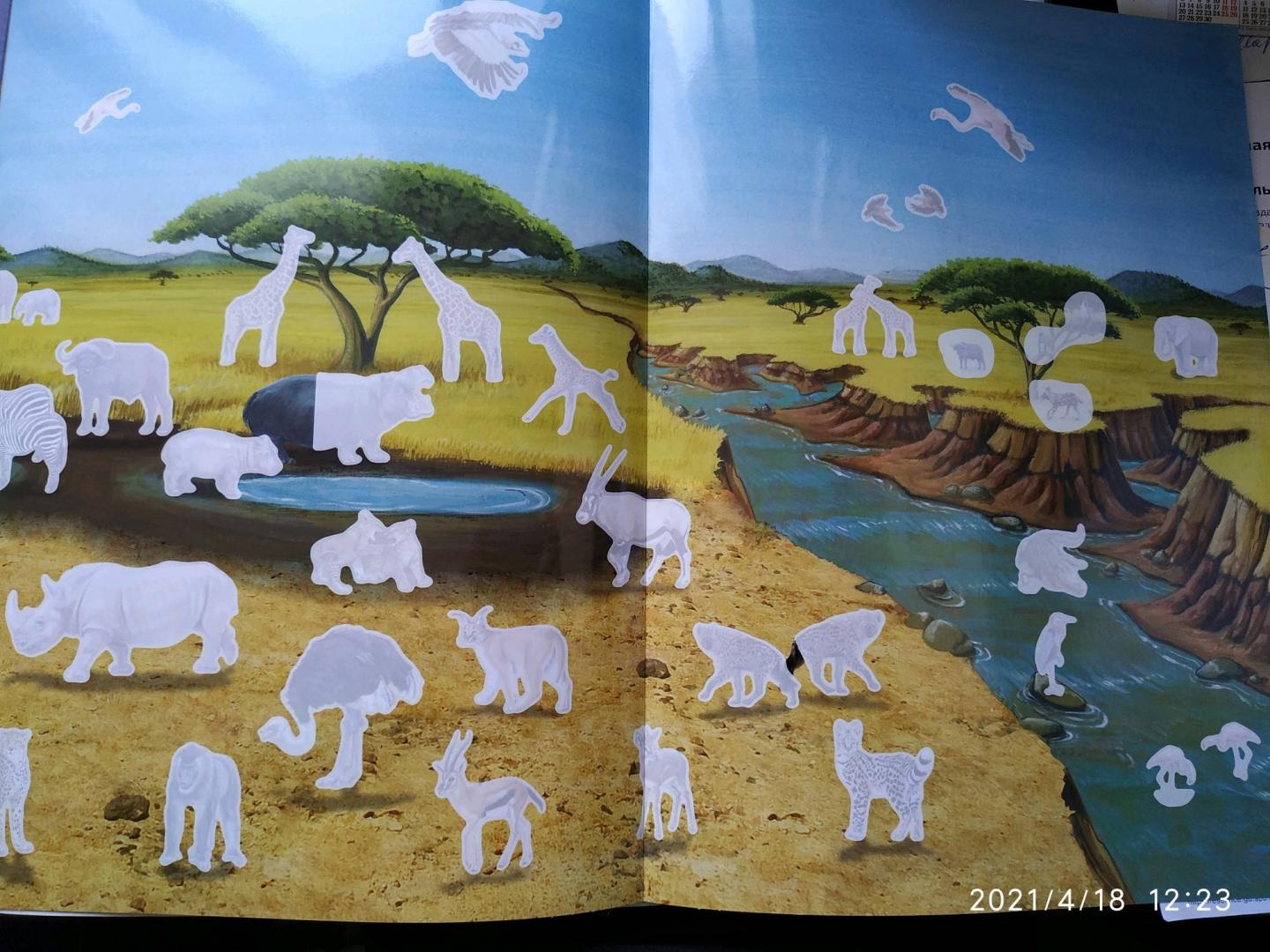 Иллюстрация 30 из 34 для МегаZOOпанорама. Саванна | Лабиринт - книги. Источник: Ekaterina Фиалковая
