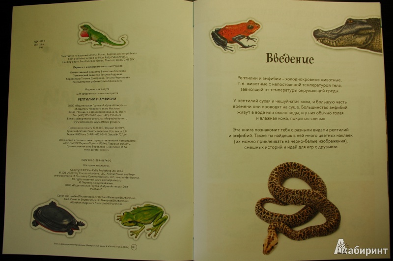 Иллюстрация 3 из 13 для Рептилии и амфибии | Лабиринт - книги. Источник: Busyay