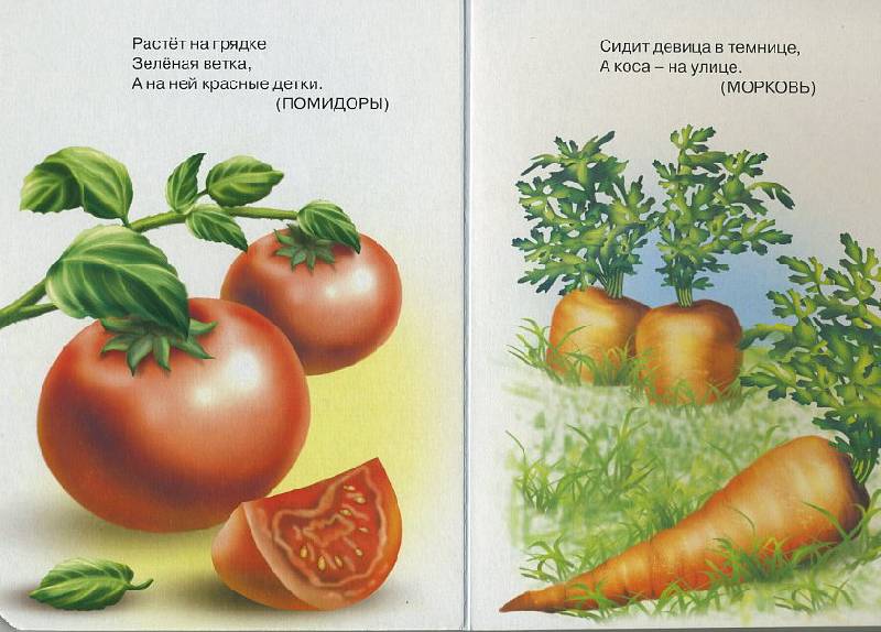 Иллюстрация 5 из 5 для Вкусные загадки | Лабиринт - книги. Источник: Pallada