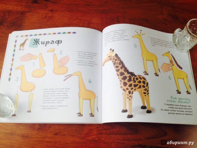 Иллюстрация 27 из 28 для В зоопарке - Бернадетт Кьюксарт | Лабиринт - книги. Источник: *  Читатель
