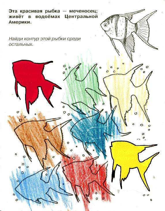 Иллюстрация 10 из 11 для Морские обитатели | Лабиринт - книги. Источник: NRK