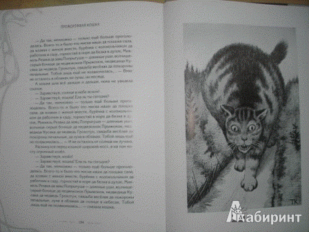 Иллюстрация 5 из 58 для Волшебные сказки Норвегии | Лабиринт - книги. Источник: Низамутдинова  Олия