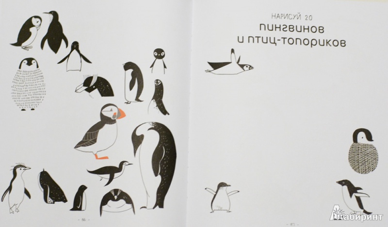 Иллюстрация 8 из 31 для 20 способов нарисовать кошку и 44 других удивительных животных - Джулия Куо | Лабиринт - книги. Источник: mangust