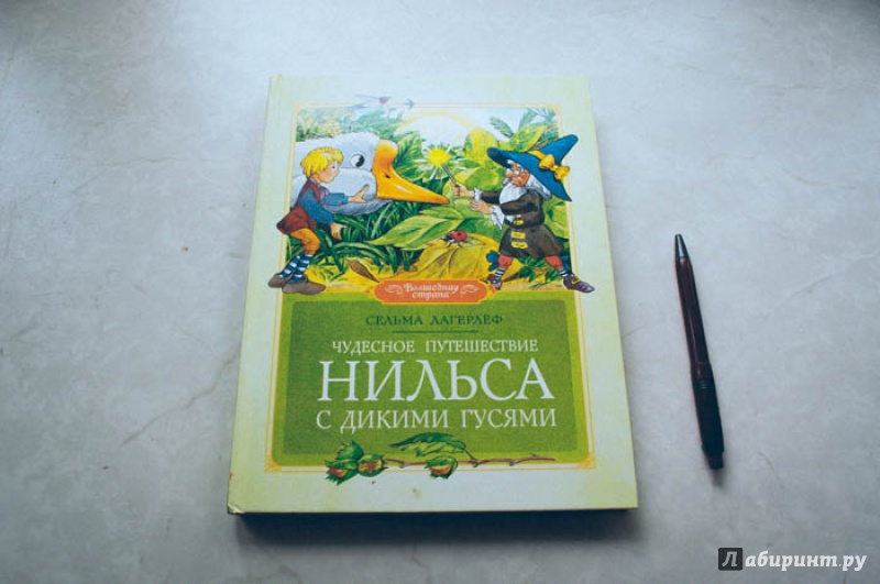 Иллюстрация 26 из 50 для Чудесное путешествие Нильса с дикими гусями - Сельма Лагерлеф | Лабиринт - книги. Источник: Ekatterina