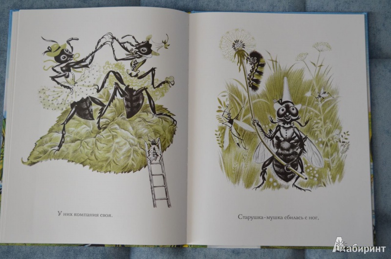 Иллюстрация 19 из 46 для Лягушонок женится - Джон Лангстафф | Лабиринт - книги. Источник: Zifa82