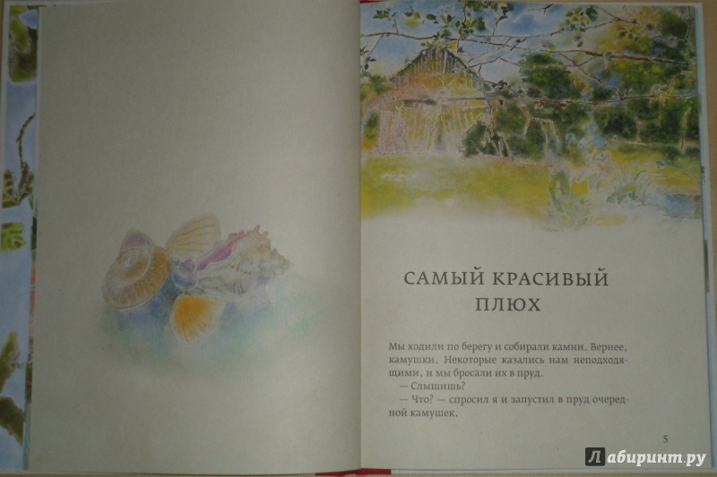 Иллюстрация 2 из 37 для Огонек в золотой шапочке - Дмитрий Шеваров | Лабиринт - книги. Источник: ИшьТы