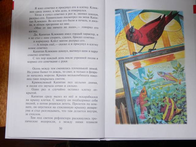 Иллюстрация 35 из 55 для Алый и другие рассказы - Юрий Коваль | Лабиринт - книги. Источник: Irbis