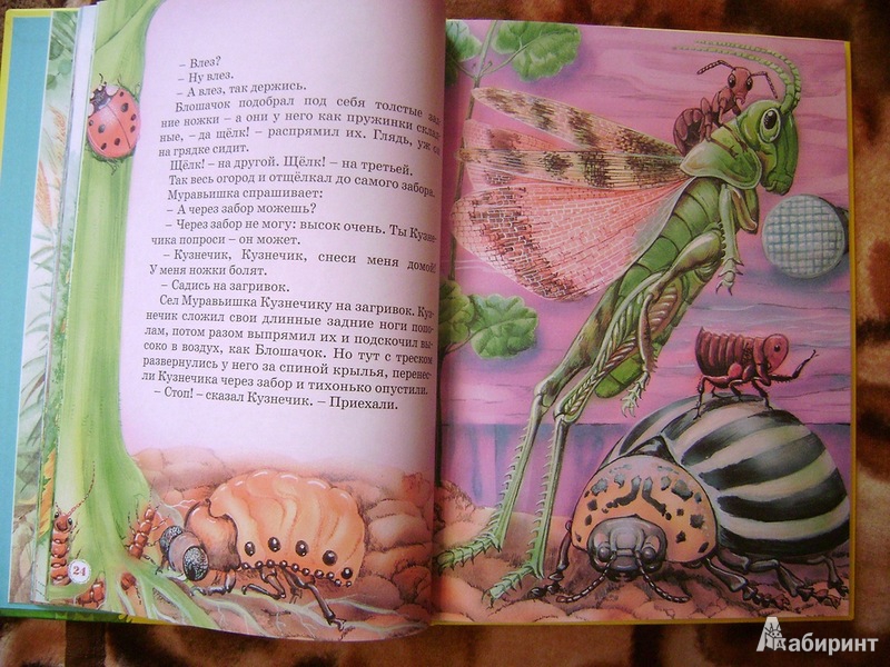 Иллюстрация 7 из 41 для Большая книга сказок - Виталий Бианки | Лабиринт - книги. Источник: Воронина  Елена