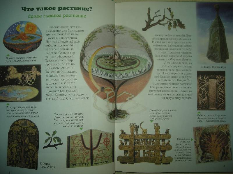 Иллюстрация 37 из 49 для Занимательная ботаника - Светлана Лаврова | Лабиринт - книги. Источник: Мартынова  Анна Владимировна