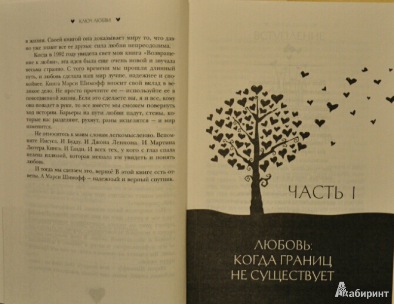 Иллюстрация 3 из 11 для Ключ Любви. 7 шагов к жизни, наполненной любовью - Шимофф, Клайн | Лабиринт - книги. Источник: NDusha