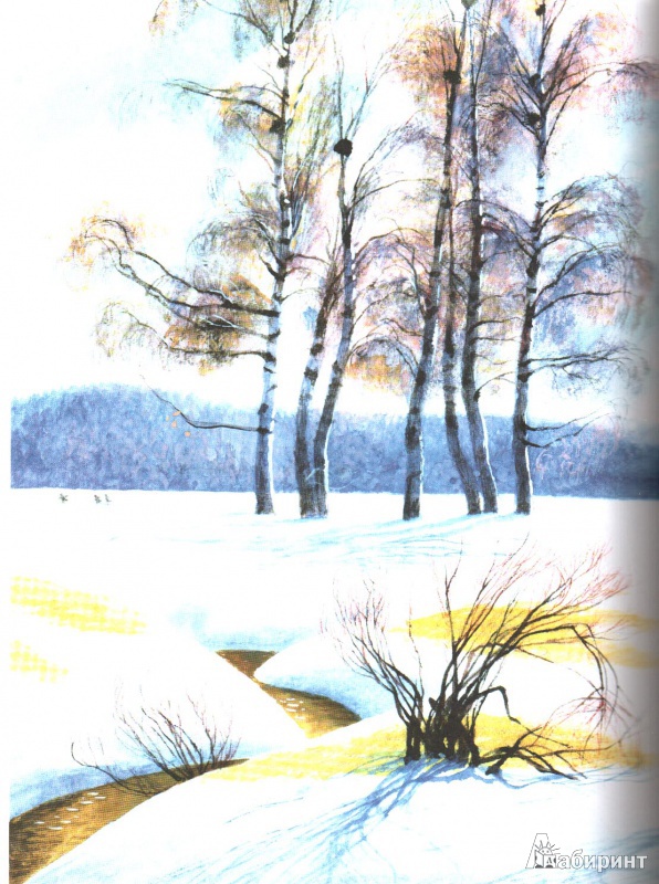 Иллюстрация 17 из 75 для Полынные сказки - Юрий Коваль | Лабиринт - книги. Источник: Елена Воскресенская