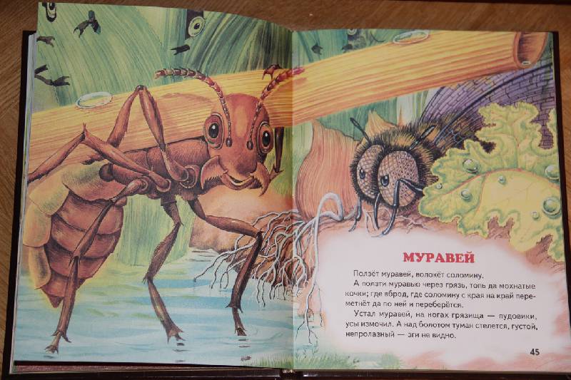 Иллюстрация 24 из 39 для Сказки из леса | Лабиринт - книги. Источник: Vilvarin  Laurea