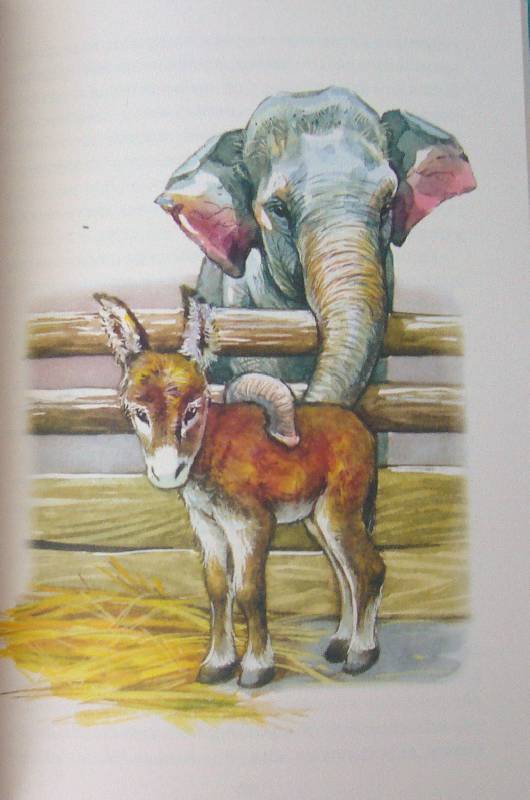 Иллюстрация 26 из 32 для Мои звери - Владимир Дуров | Лабиринт - книги. Источник: Челла