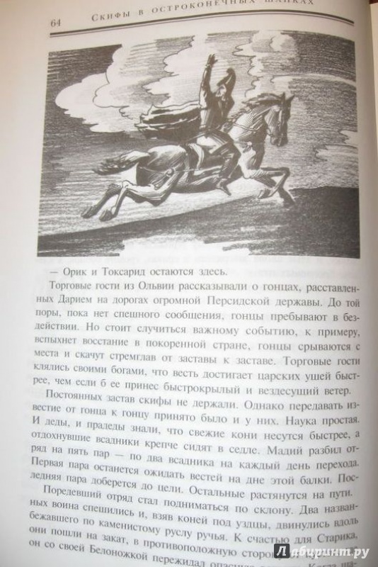 Иллюстрация 7 из 13 для Скифы в остроконечных шапках - Самуэлла Фингарет | Лабиринт - книги. Источник: Леан