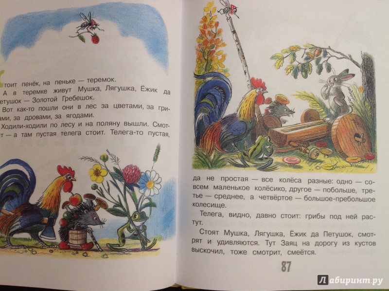 Иллюстрация 34 из 62 для Сказки и картинки - Владимир Сутеев | Лабиринт - книги. Источник: Nadezhda  Marchenko