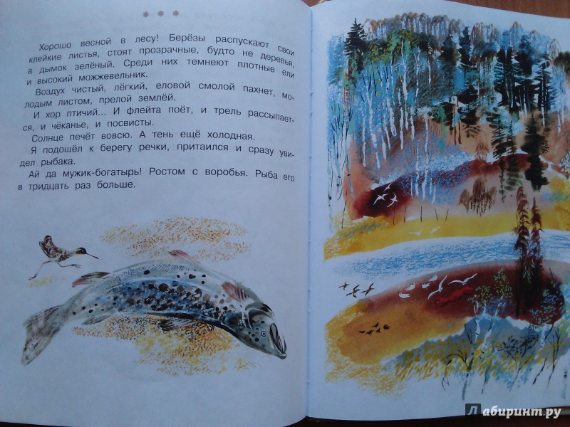 Иллюстрация 60 из 61 для Друзья - Евгений Чарушин | Лабиринт - книги. Источник: Ольга