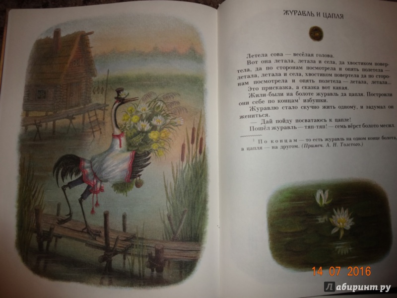 Иллюстрация 30 из 78 для Снегурушка и лиса | Лабиринт - книги. Источник: Прокопец  Наталья Валерьевна