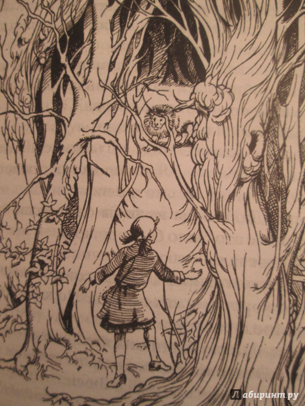 Иллюстрация 29 из 38 для Принц Каспиан. Волшебная повесть из эпопеи "Хроники Нарнии" - Клайв Льюис | Лабиринт - книги. Источник: NiNon