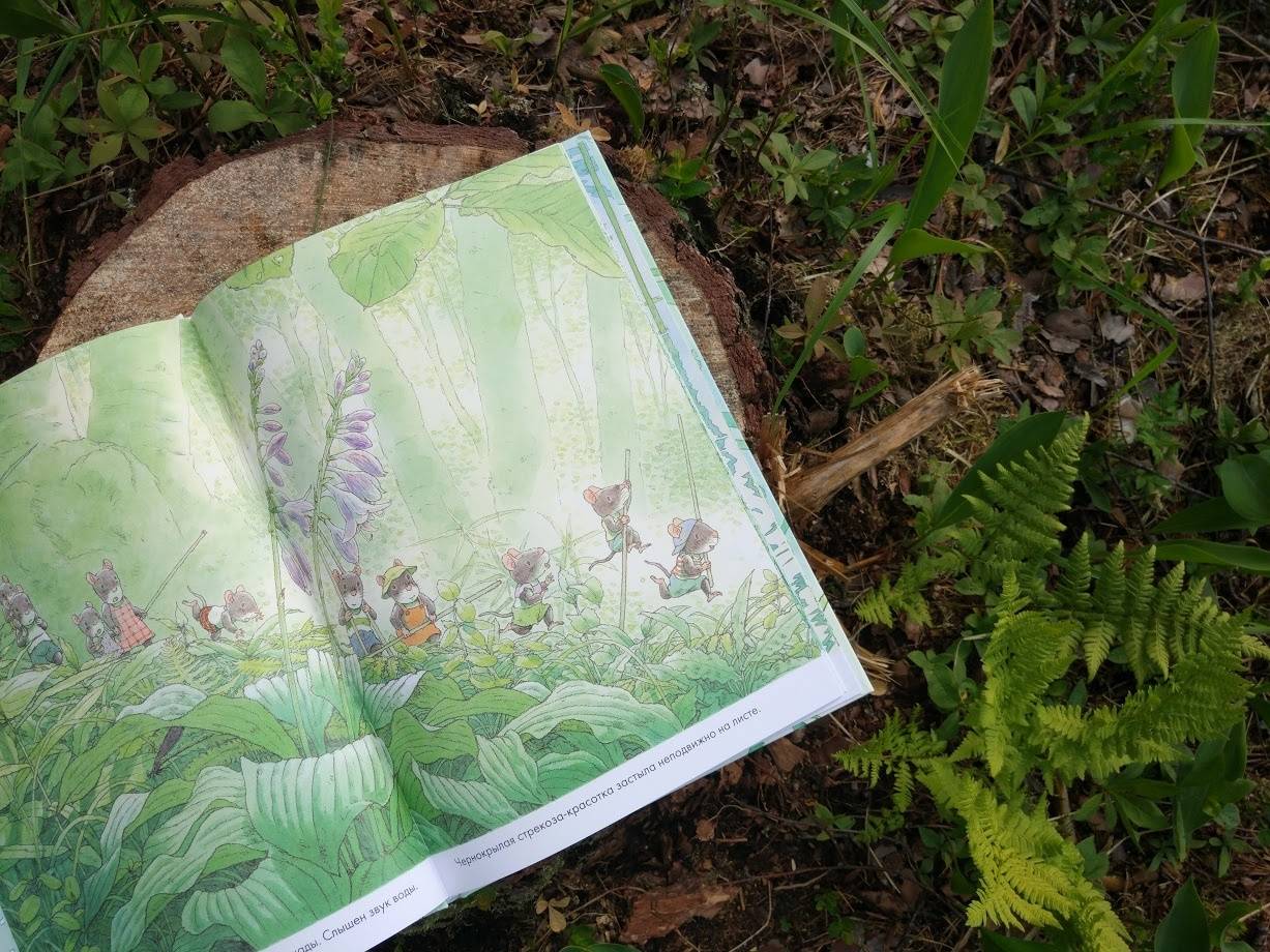 Иллюстрация 23 из 40 для 14 лесных мышей. Стрекозиный пруд - Кадзуо Ивамура | Лабиринт - книги. Источник: olgatout
